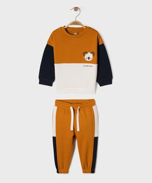 Ensemble 2 pièces sweat et jogging en molleton douillet bébé garçon vue1 - GEMO(BEBE DEBT) - GEMO