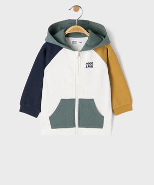 Sweat zippé à capuche  colorblock bébé garçon vue1 - GEMO 4G BEBE - GEMO