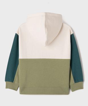 Sweat à capuche tricolore garçon vue4 - GEMO 4G GARCON - GEMO