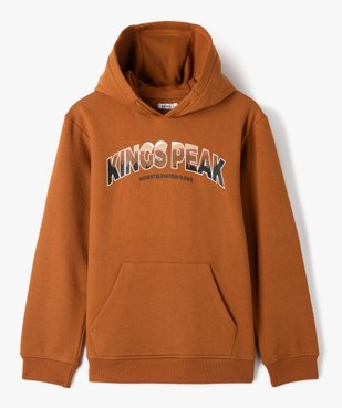Sweat molletonné à capuche garçon vue1 - GEMO 4G GARCON - GEMO