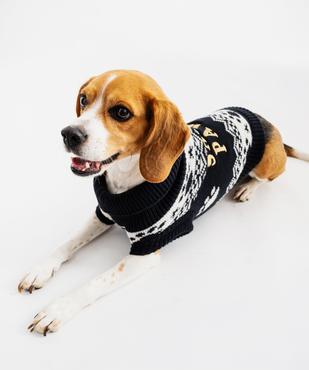 Pull de Noël pour chien vue3 - GEMO (ACCESS) - GEMO