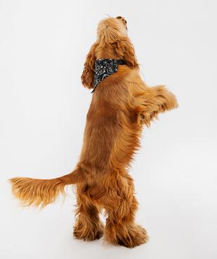 Bandana ajustable pour chien vue3 - GEMO (ACCESS) - GEMO