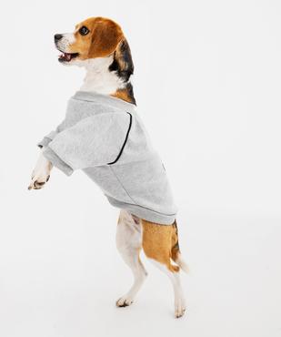 Sweat cocooning pour chien vue3 - GEMO (ACCESS) - GEMO