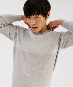 Pull en maille côtelée bicolore homme vue2 - GEMO 4G HOMME - GEMO