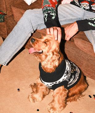 Pull de Noël pour chien vue5 - GEMO (ACCESS) - GEMO