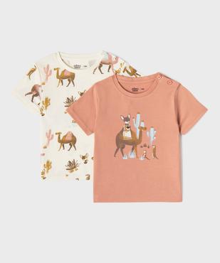 Tee-shirt manches courtes imprimés bébé garçon (lot de 2) vue1 - GEMO(BEBE DEBT) - GEMO
