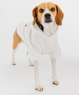 Sweat à capuche pour chien vue5 - GEMO (ACCESS) - GEMO