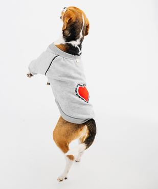 Sweat cocooning pour chien vue2 - GEMO (ACCESS) - GEMO