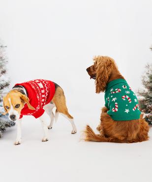 Pull tricot Noël pour chien vue6 - GEMO (ACCESS) - GEMO