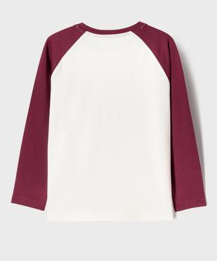 Tee-shirt manches longues raglan en jersey de coton imprimé garçon - LuluCastagnette vue3 - LULU CASTAGNETTE G4G D - GEMO