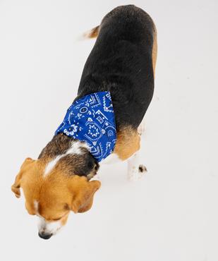 Bandana ajustable pour chien vue4 - GEMO (ACCESS) - GEMO