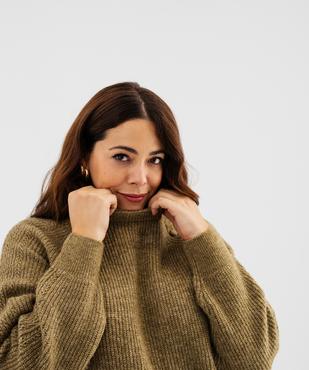 Pull col rond grande taille femme vue2 - GEMO 4G GT - GEMO