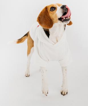 Sweat à capuche pour chien vue2 - GEMO (ACCESS) - GEMO