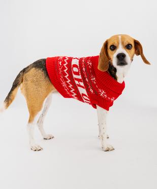 Pull de Noël pour chien vue1 - GEMO (ACCESS) - GEMO