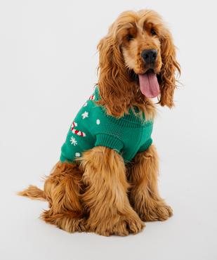 Pull tricot Noël pour chien vue3 - GEMO (ACCESS) - GEMO