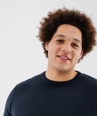 Pull en coton en maille fine à col rond homme  vue5 - GEMO (HOMME) - GEMO