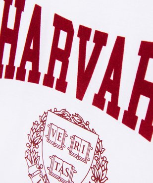 Tee-shirt large et court à manches courtes fille - Harvard vue2 - HARVARD - GEMO