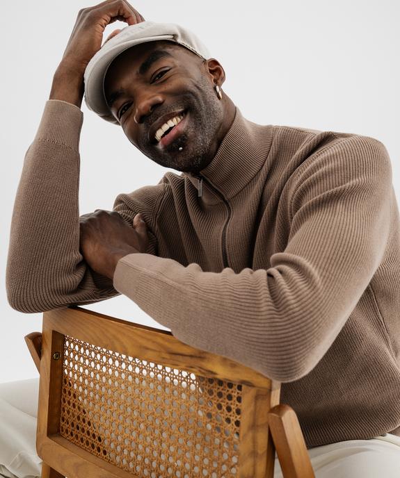 Pull en coton à col camionneur homme vue1 - GEMO (HOMME) - GEMO