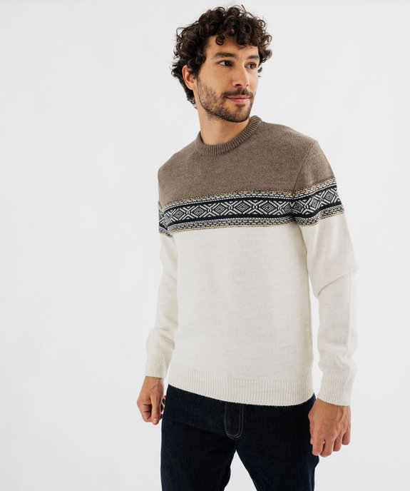 Pull col rond à bande jacquard homme vue2 - GEMO (HOMME) - GEMO