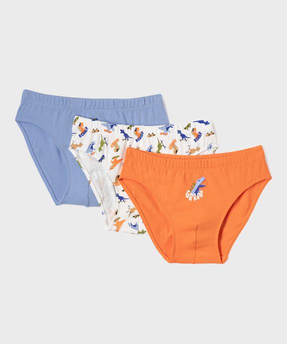 Slips en coton biologique motifs dinosaures garçon (lot de 3) vue1 - GEMO 4G GARCON - GEMO
