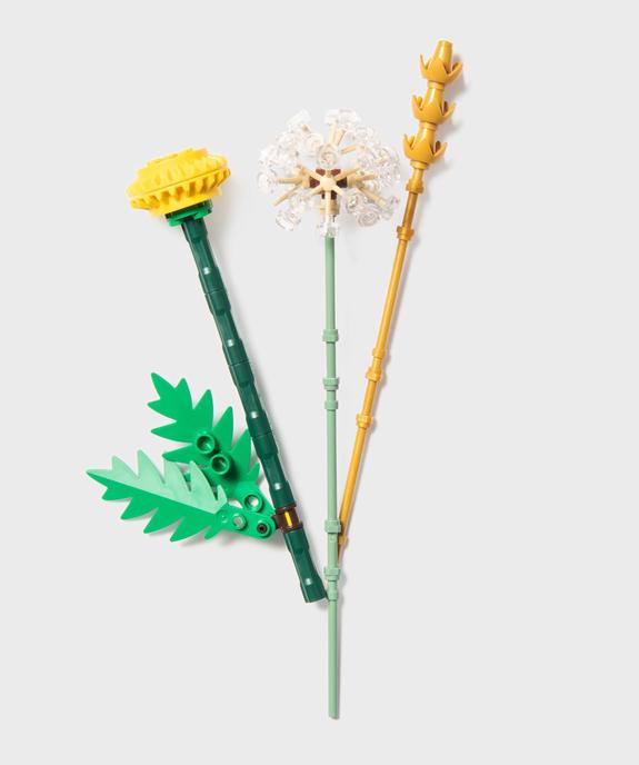 LEGO Botanicals Fleurs des champs Jouet pour enfant vue1 - LEGO - GEMO
