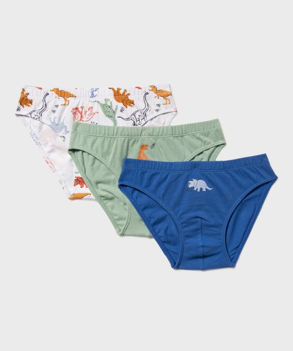 Slips en coton stretch à motifs dinosaures garçon (lot de 3) vue1 - GEMO 4G GARCON - GEMO