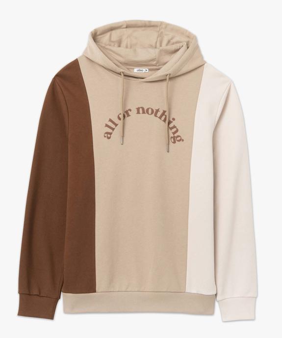 Sweat homme tricolore à capuche avec inscription vue4 - GEMO (HOMME) - GEMO