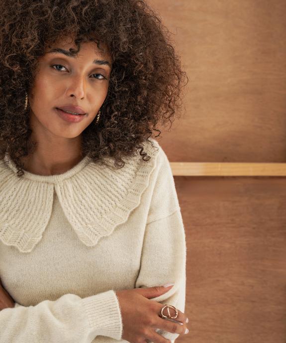 Pull à grand col fantaisie ajouré femme vue1 - GEMO(FEMME PAP) - GEMO