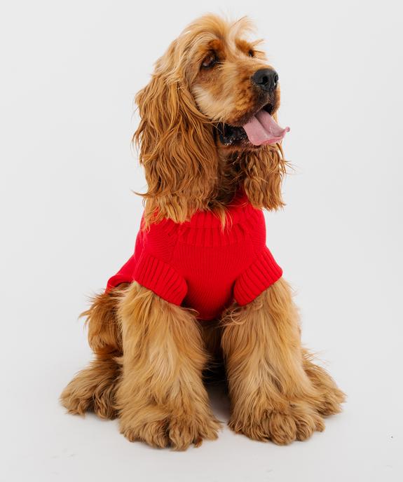 Pull en tricot pour chien vue4 - GEMO (ACCESS) - GEMO