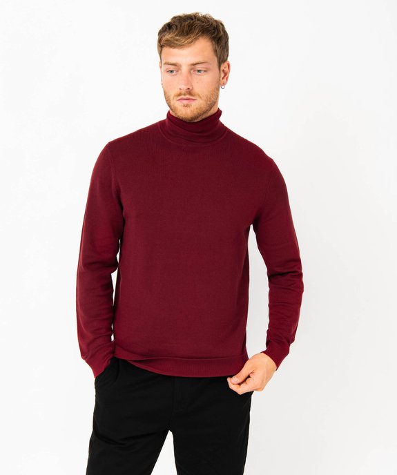 Pull à col roulé en maille fine homme vue2 - GEMO 4G HOMME - GEMO