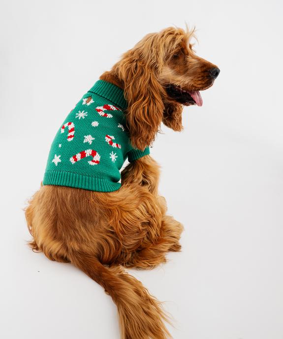 Pull tricot Noël pour chien vue5 - GEMO (ACCESS) - GEMO