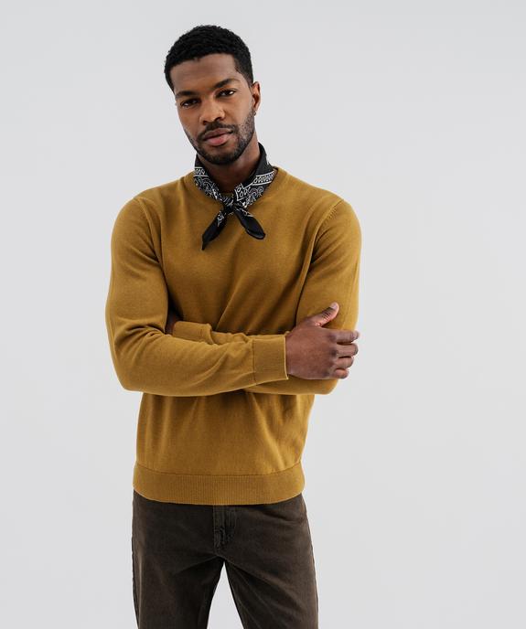 Pull en coton en maille fine à col rond homme  vue1 - GEMO (HOMME) - GEMO