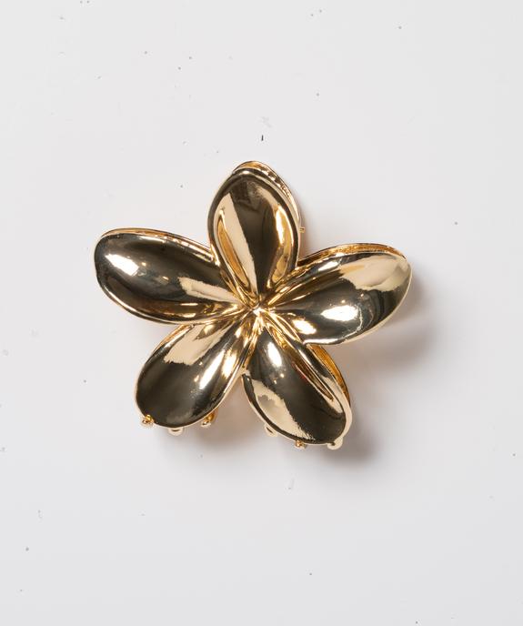 Pince crabe cheveux en forme de fleur  vue1 - GEMO (ACCESS) - GEMO