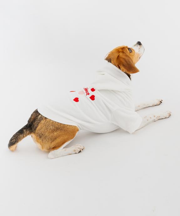 Sweat à capuche pour chien vue3 - GEMO (ACCESS) - GEMO