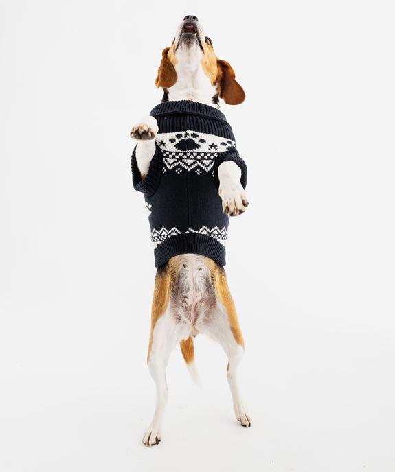 Pull de Noël pour chien vue4 - GEMO (ACCESS) - GEMO