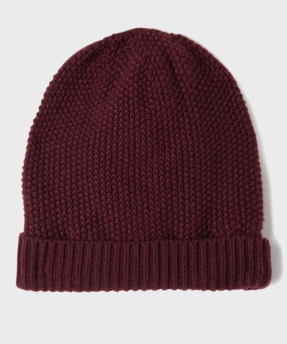 Bonnet en maille fantaisie doublé polaire homme vue1 - GEMO 4G HOMME - GEMO