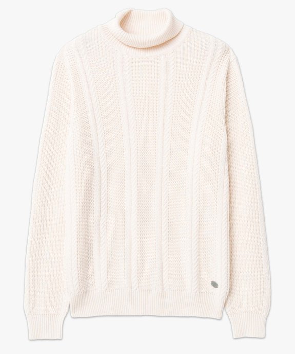 Pull homme en maille torsadée à col roulé vue4 - GEMO (HOMME) - GEMO