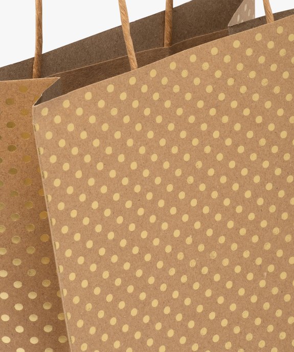 Sac cadeau en papier à pois dorés vue2 - GEMO (ACCESS) - GEMO