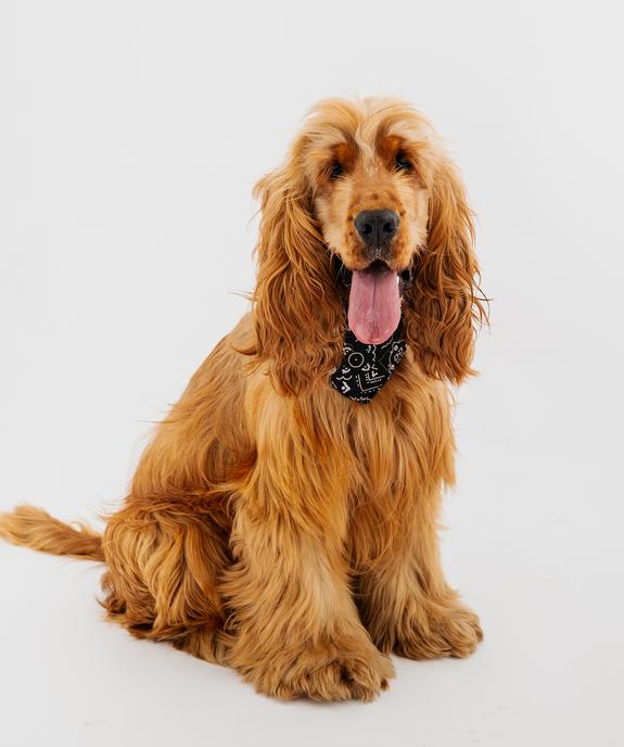 Bandana ajustable pour chien vue2 - GEMO (ACCESS) - GEMO