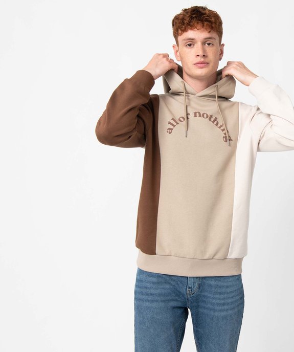 Sweat homme tricolore à capuche avec inscription vue2 - GEMO (HOMME) - GEMO