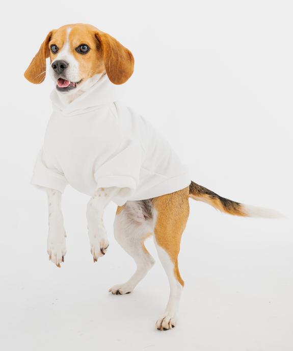 Sweat à capuche pour chien vue4 - GEMO (ACCESS) - GEMO