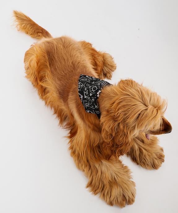 Bandana ajustable pour chien vue4 - GEMO (ACCESS) - GEMO
