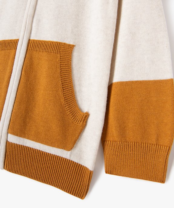 Gilet à capuche tricolore zippé garçon vue2 - GEMO (ENFANT) - GEMO