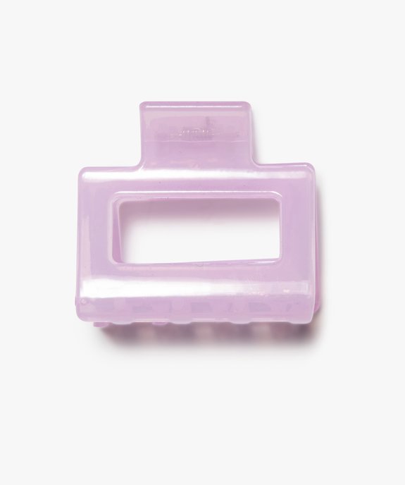 Pince cheveux femme en plastique translucide vue1 - GEMO (ACCESS) - GEMO