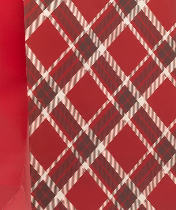 Pochette cadeau à motif écossais vue2 - GEMO (ACCESS) - GEMO