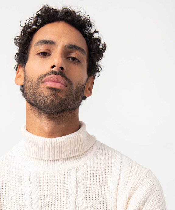 Pull homme en maille torsadée à col roulé vue5 - GEMO (HOMME) - GEMO