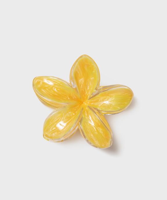 Pince à cheveux crabe en forme de fleur vue1 - GEMO (ACCESS) - GEMO