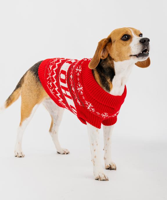 Pull de Noël pour chien vue3 - GEMO (ACCESS) - GEMO