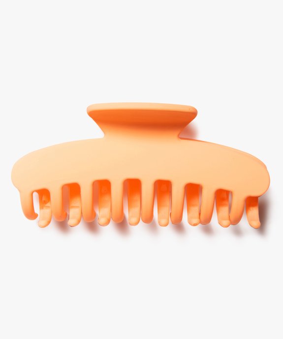 Pince crabe femme pour les cheveux aspect mat vue1 - GEMO (ACCESS) - GEMO