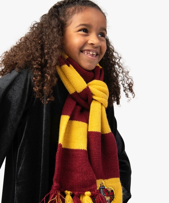 Écharpe Gryffondor déguisement Harry Potter vue1 - UNIVERSAL - GEMO